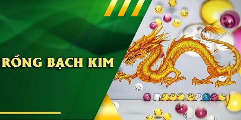 Các loại hình soi cầu rồng bạch kim phổ biến